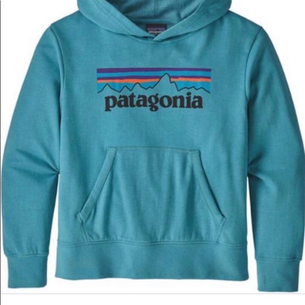 Patagonia Kids Unisex lightweight graphic hoodie XL